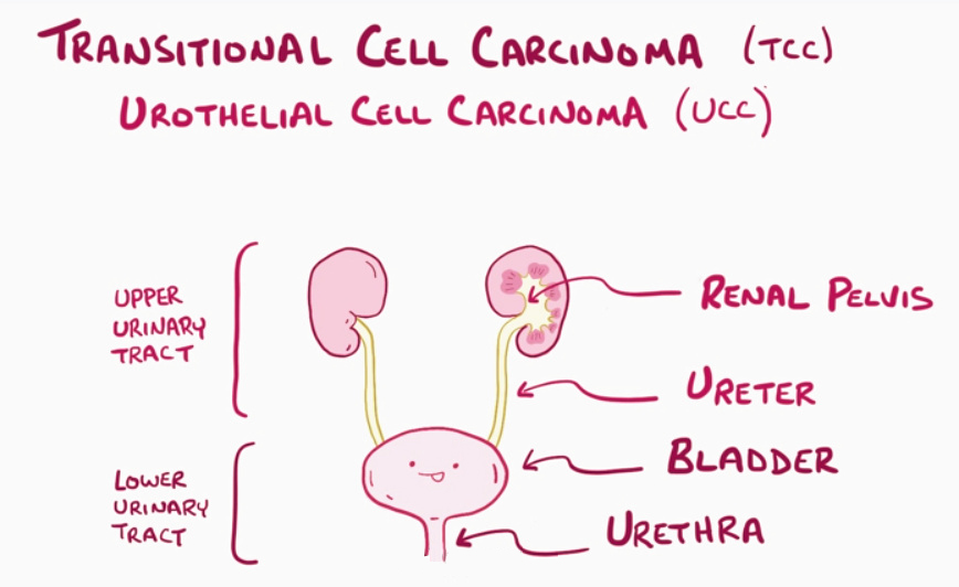 1515561956503979.jpg 21000.jpg