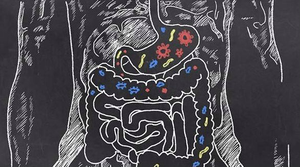 1525422958671509.jpg timg.jpg